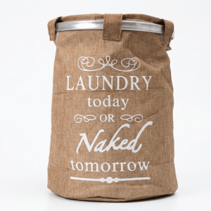 Laundry Today or Naked Tomorrow