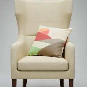 Modern Abstract Cushion Cover