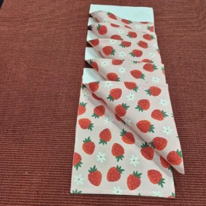 Strawberry Fields Floral Placemats